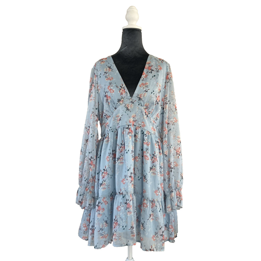 Babydoll Dress Fairy Coquette Twee Long Sleeve Floral V-Neck Sheer Blue Size 2XL